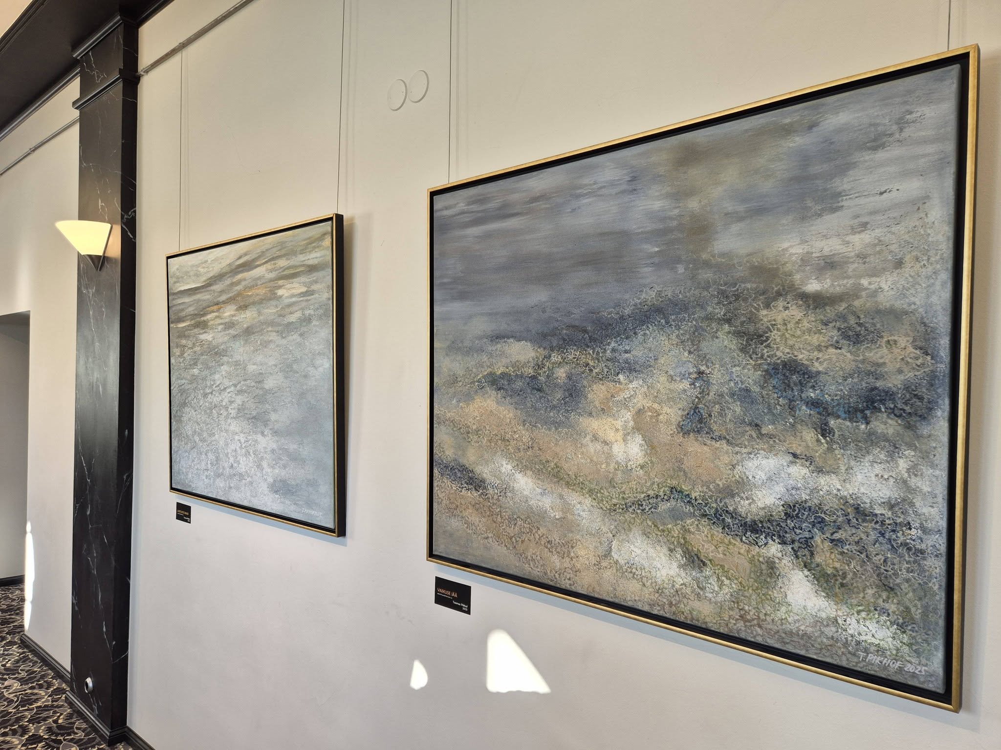 Toomas Pikhof „Tundlikkuse piirid“